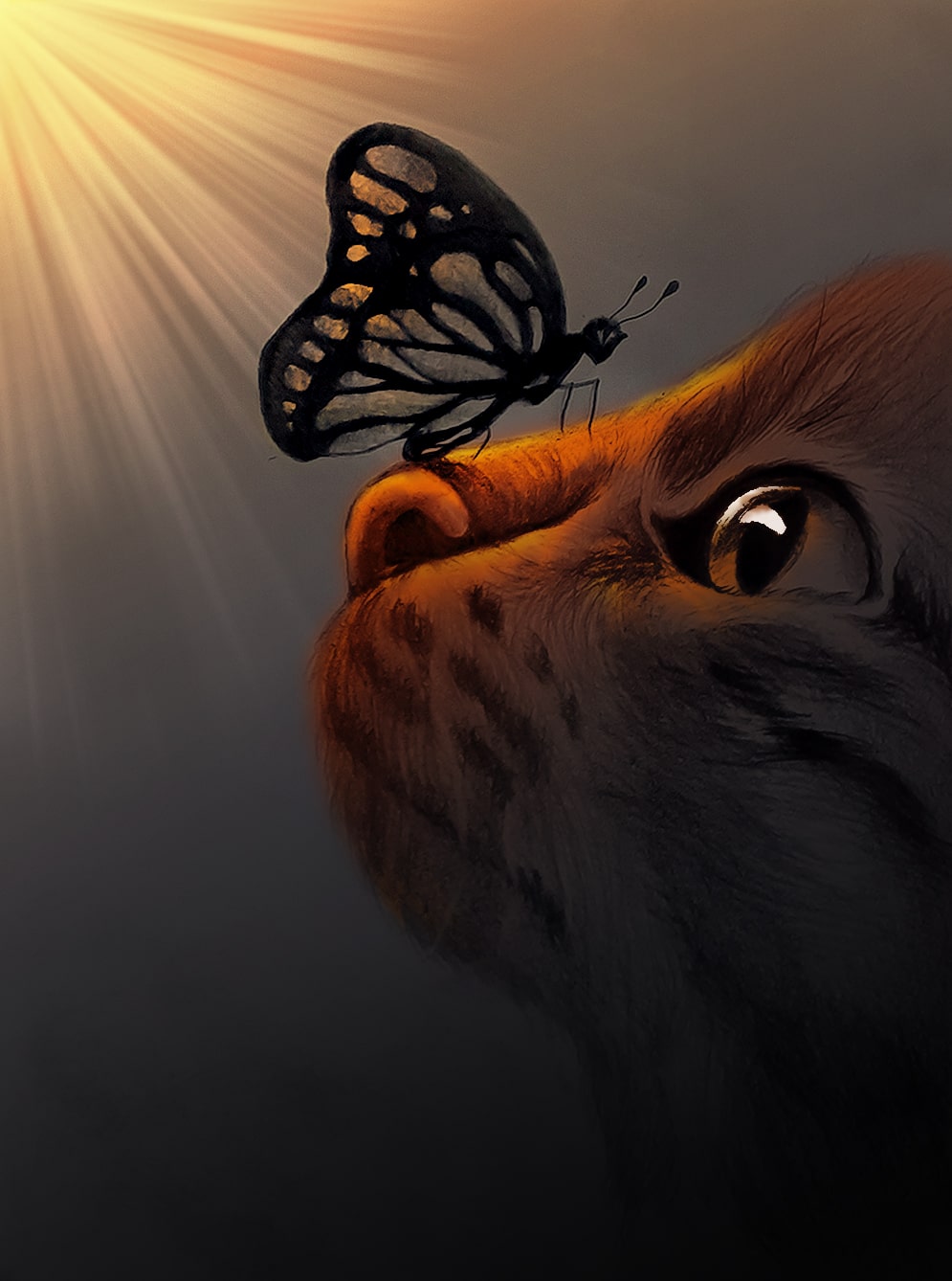Kitten and Butterfly by ArtsByDino on DeviantArt