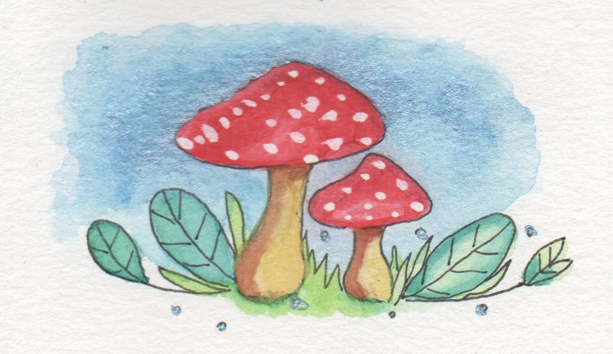 Watercoloring mushrooms by Vania-Paiva on DeviantArt